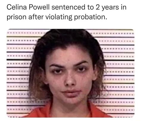 Celina Powell Sentenced to 2 Years for Probation。